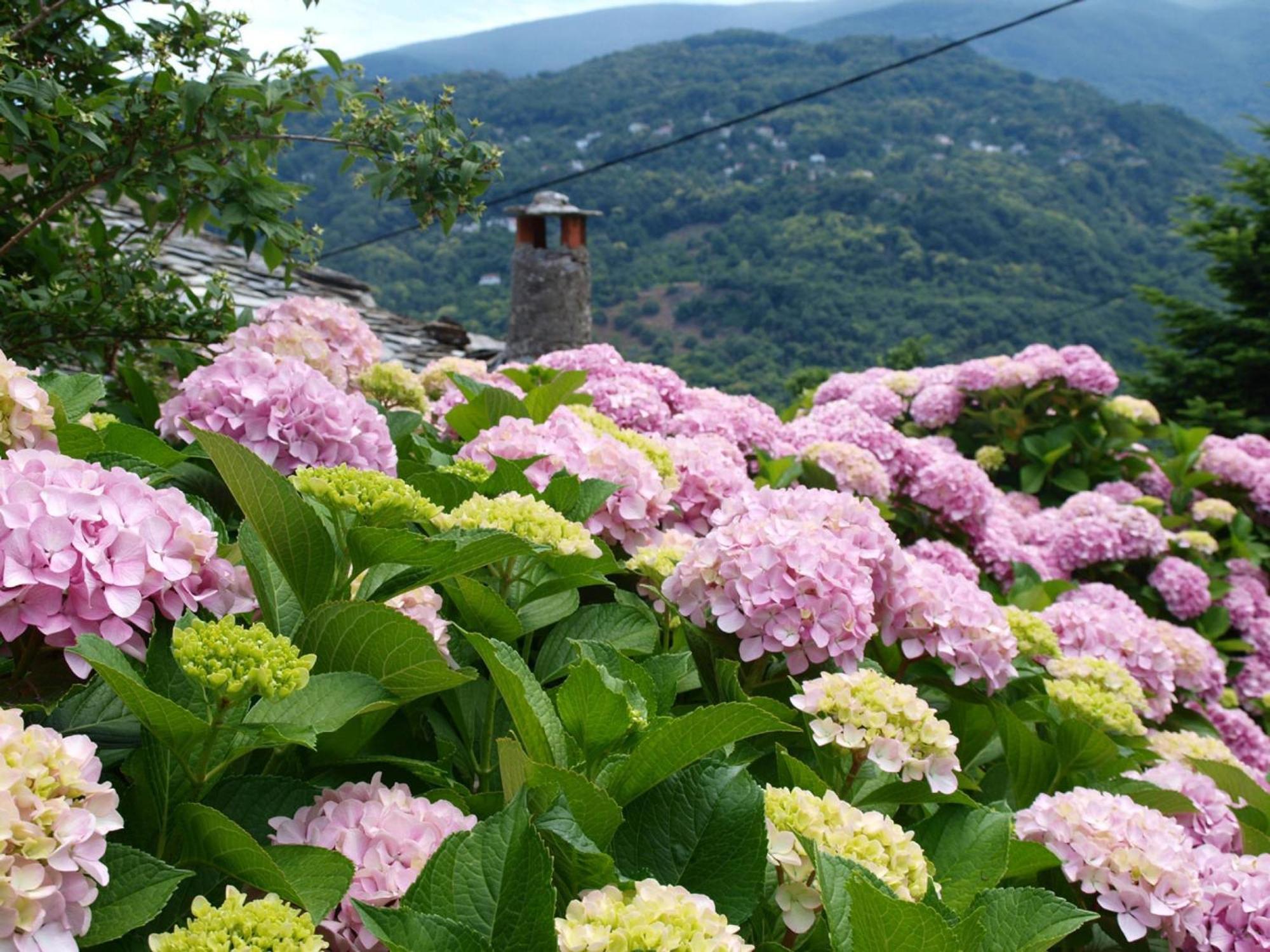 Villa Zina Agios Dimitrios Áyios Dhimítrios Dış mekan fotoğraf